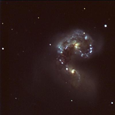 Alan1 Ngc4038